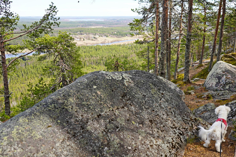 Rovaniemi: Övertorneå e a colina Aavasaksa. História e natureza