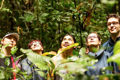 From Iquitos Amazonas 3 Days 2 Nights