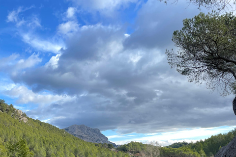 Aix-en-Provence: Watercolor and Sketching Walk in the Footsteps of Cézanne