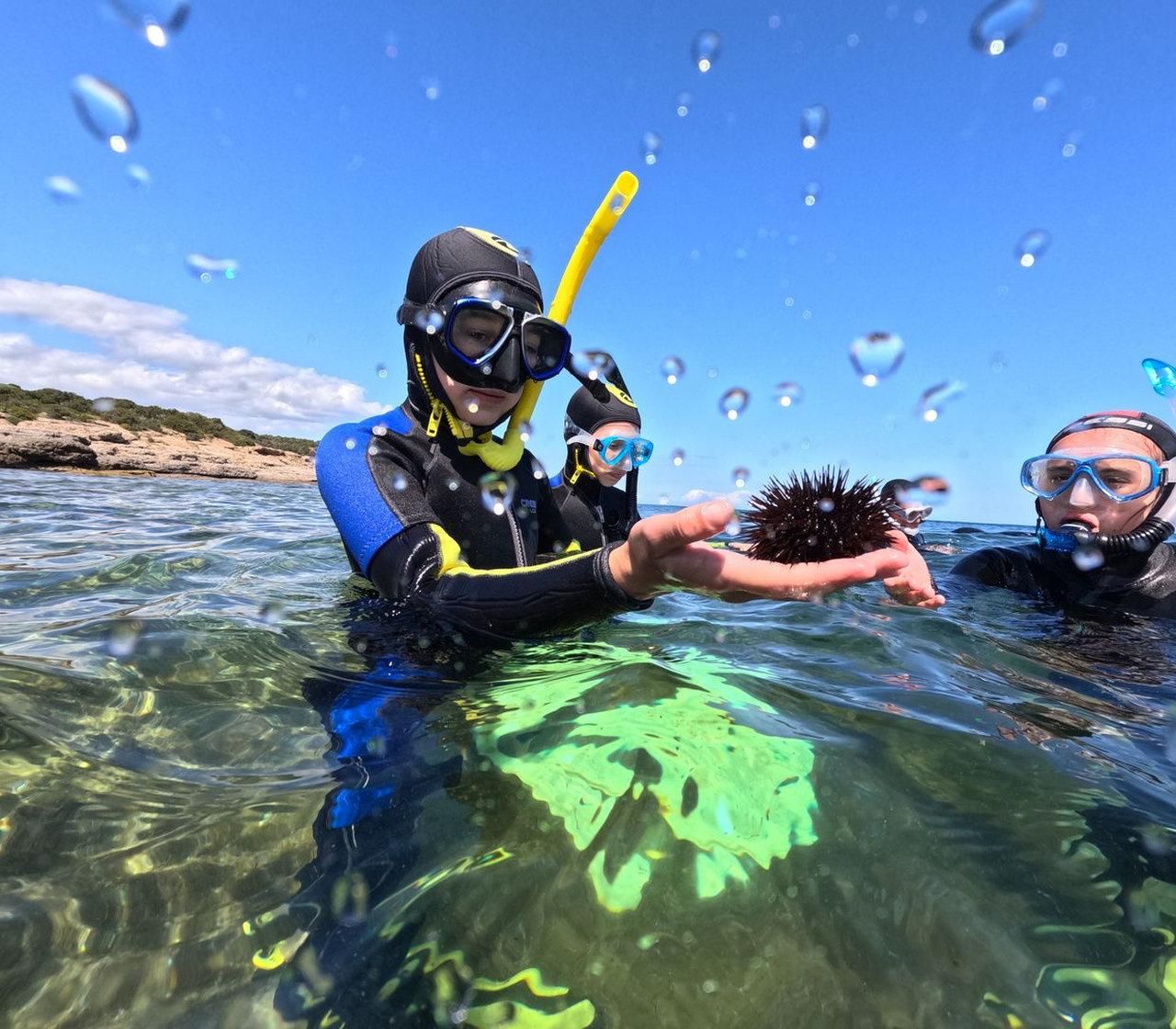Porto Vecchio Schnorcheltour Naturschutzgebiet