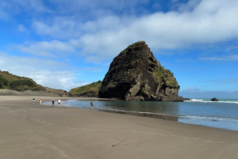 Piha e Karekare - Tour particular saindo de AucklandTour guiado particular em inglês