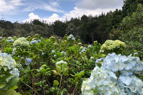 Medellin: Amazing Arvi Natural Reserve