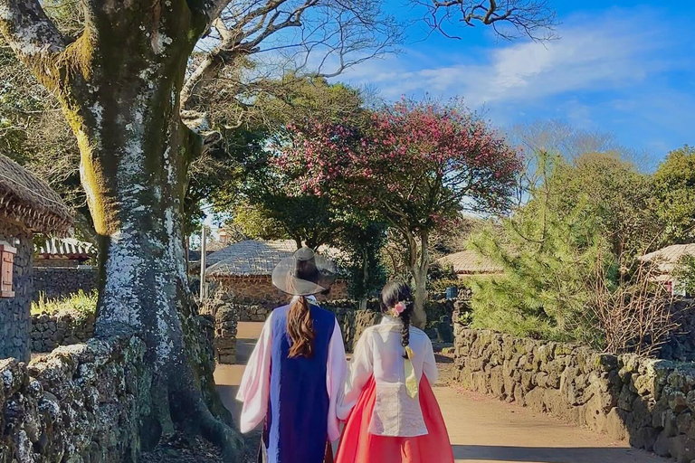 Jeju: Day Tour, Small Volcano & Landmark & UNESCO Heritage Private Day Tour 5hr (Just Car Charter/Not including ticket)