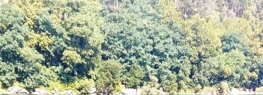 Minho : Visite guidée en kayak avec un guide professionnel