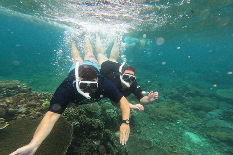 BFT Nusa Penida: Snorkeling to Manta Point &amp; Manta BayShare snorkeling group up 100 Pax