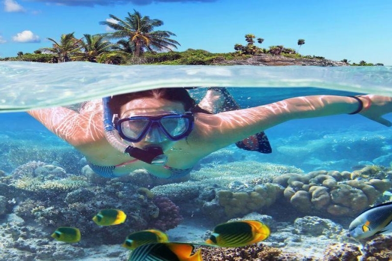 Punta Cana Tours - Punta Cana Excursions Tourismus & ReisenCatalina Island Tauchen