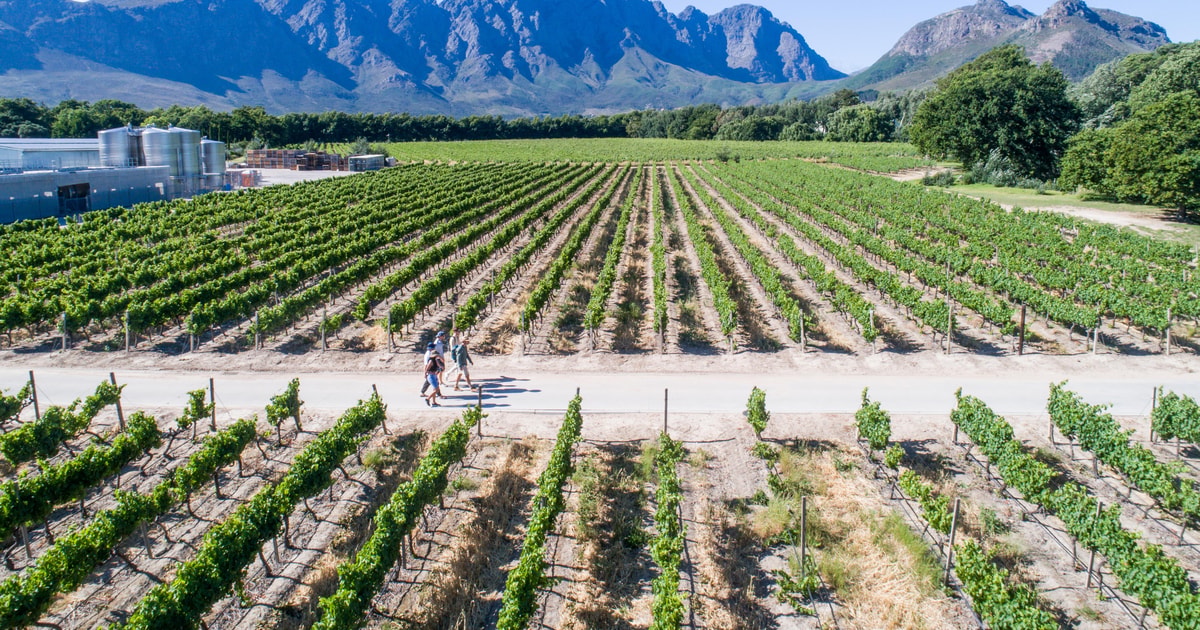 franschhoek-an-enchanting-storytelling-walk-to-3-wine-farms-getyourguide
