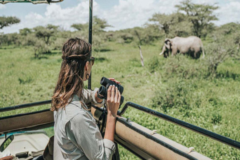 From Zanzibar: 3-Day Nyerere National Park Safari by Flight 3-Day Nyerere Safari From Zanzibar by Flight & Night Drive
