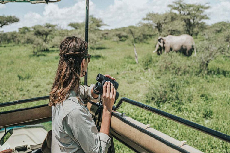From Zanzibar: 3-Day Nyerere National Park Safari by Flight 3-Day Nyerere Safari From Zanzibar by Flight & Night Drive