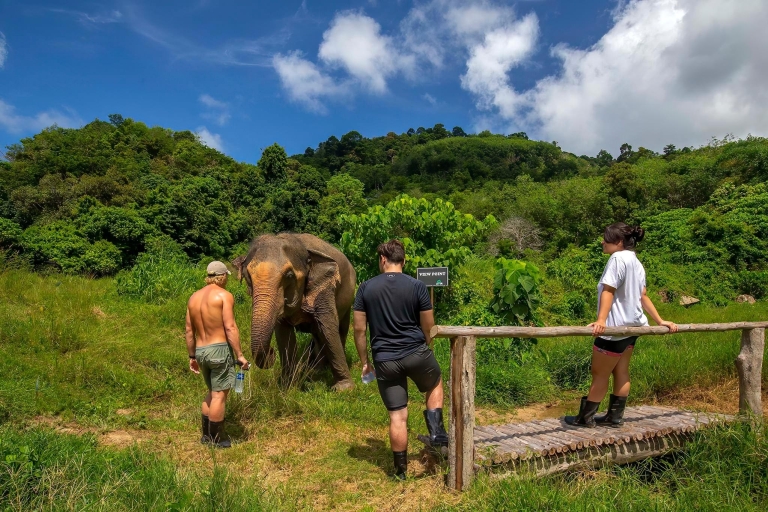 Phuket: Wycieczka z przewodnikiem po sanktuarium słoni z transferem do hotelu