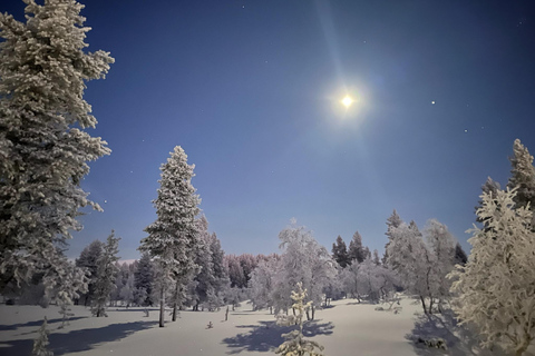 Saariselkä: Private UKK Park Snowshoe Walk & Cowboy Coffee