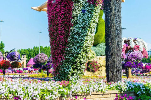 Dubai: Miracle Garden Tickets with Round-trip Transfer