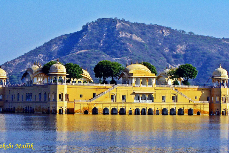 Full Day Jaipur Tour By Car With Professional Guide