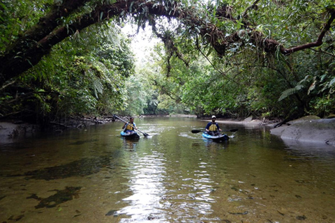 Santos: Geführte Kajaktour im Herzen des State ParksSao Paulo: Geführtes Kajak im Herzen des Staatsparks