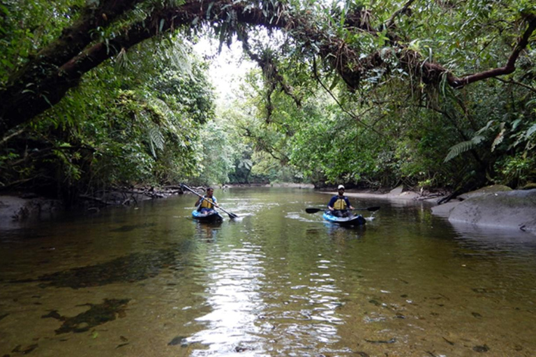Santos: Geführte Kajaktour im Herzen des State ParksSao Paulo: Geführtes Kajak im Herzen des Staatsparks