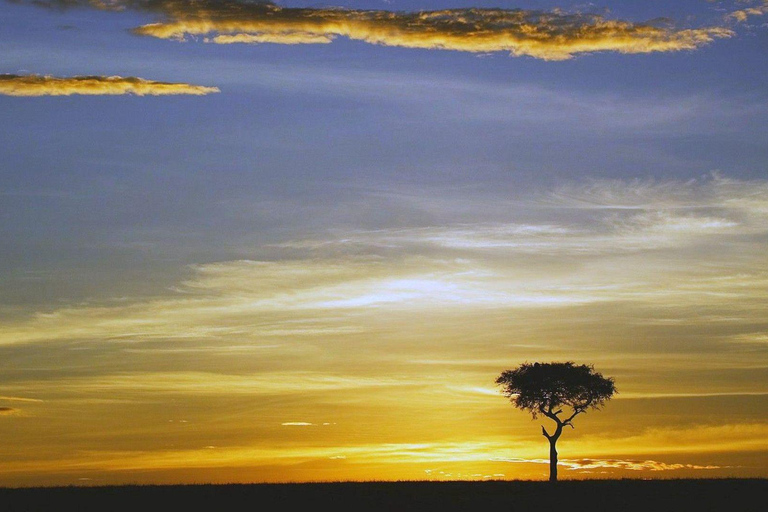 2-Day Ol Pejeta Safari with Chimps & Big Five