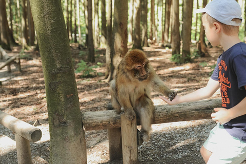 Nagano Tokyo: Snow Monkey Private Day Tour Hotel Pick & Drop Snow Monkey Private Day Tour Hotel Pick & Drop Off In Crown