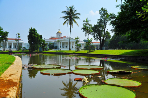 DA BANDUNG : PIANTAGIONE DI TÈ/GIARDINO BOTANICO/JAKARTA