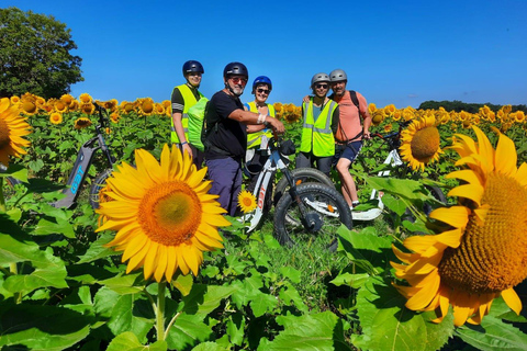 Agen: Visite et randonnée guidée en Trottinette électrique tout terrain