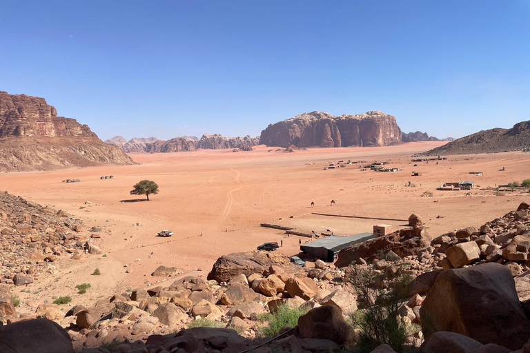 Wadi Rum Desert: Half-Day Jeep Tour