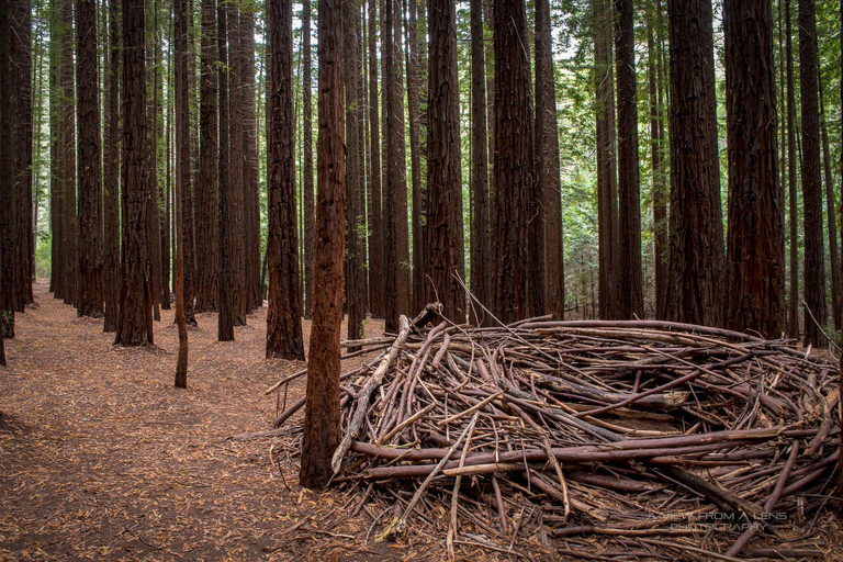 Yarra Valley Day Tour with Redwoods, Wine and Wildlife Wildlife Tour Option
