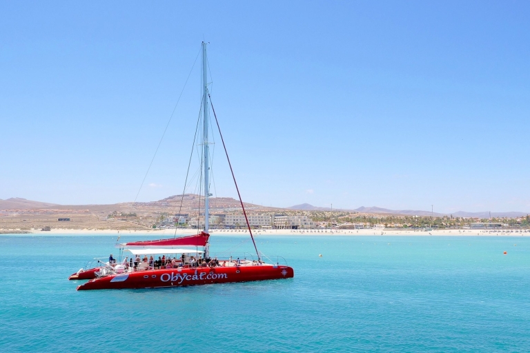 Caleta de Fuste: Catamaran Sailing Experience Standard Option
