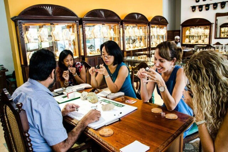 Kandy to Negombo/Airport Private Day Tour & Transfer Kandy to Airport or Negambo By Mini van
