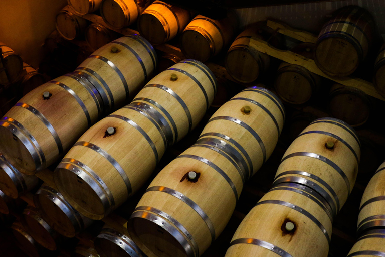 Full tour of the estate and wine tasting at Château Camplazens Visit Julius - Château Camplazens AOP La Clape