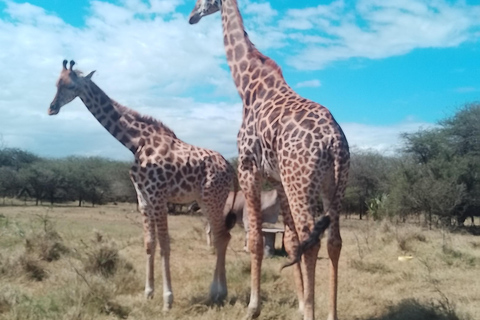 Mombasa: Wildlife Sanctuary Guided Nature Trail Tour Wildlife Sanctuary Guided Nature Trail Tour