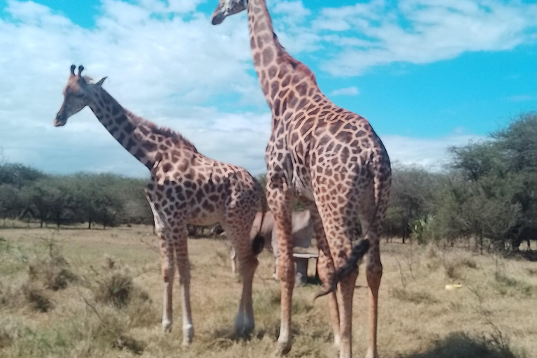 Mombasa: Wildlife Sanctuary Guided Nature Trail Tour Wildlife Sanctuary Guided Nature Trail Tour