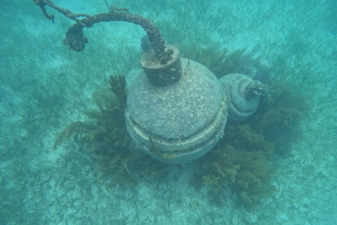 Snorkel Paradise Cancun and underwater museum in Nizuc