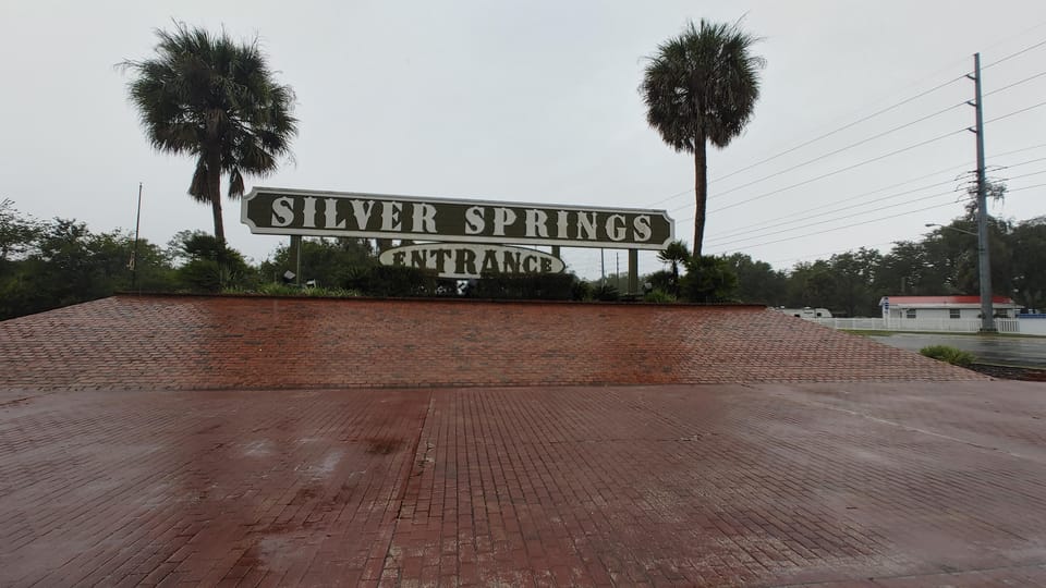 Silver Springs Manatee Kayaking Tour | GetYourGuide