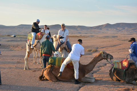 Marrakech: Cena nel deserto di Agafay con giro in cammello al tramontoMarrakech: escursione nel deserto di Agafay con giro in cammello e spettacolo di fuoco