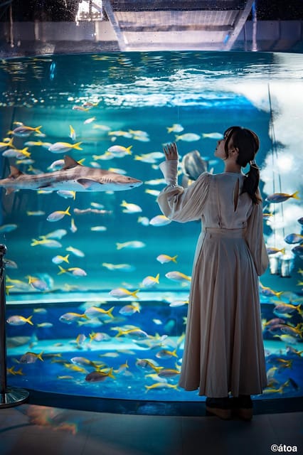 Kobe Urban Aquarium AQUARIUM×ART átoa Admission Ticket | GetYourGuide