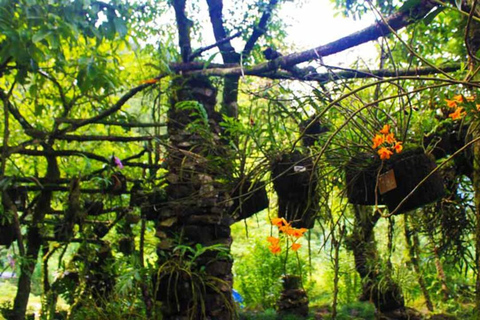 Sapa: "Dragon Jaw Mountain" Panorama Experience