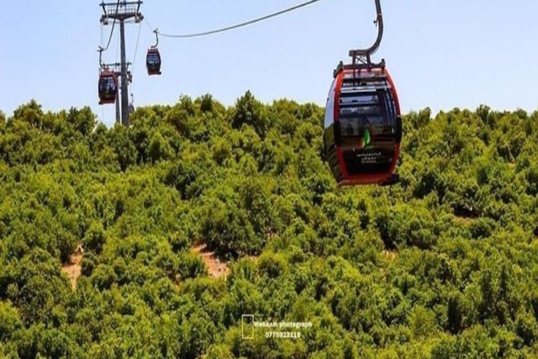 Jerash, Ajloun, and Umm Qais Full-Day Tour From AmmanJerash, Ajloun e Umm Qais: excursão de 1 dia saindo de Amã