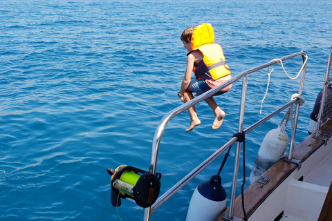 Estepona : Excursion en bateau à la recherche de dauphins avec boissons et collations
