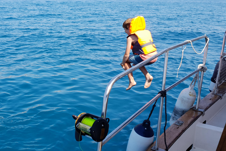Estepona : Excursion en bateau à la recherche de dauphins avec boissons et collations