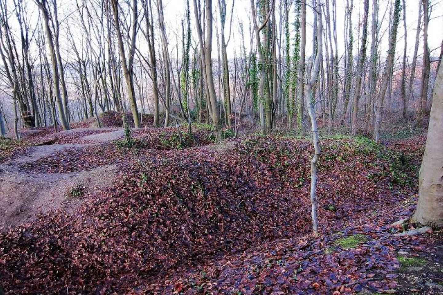 シュマン・デ・ダムの戦い　ラオン発着