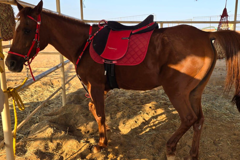 Muscat: Desert Safari, Quadbike, Horse Ride & Sunset Tour