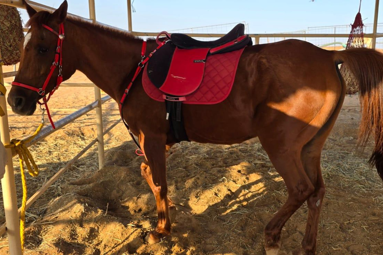 Muscat: Desert Safari, Quadbike, Horse Ride & Sunset Tour