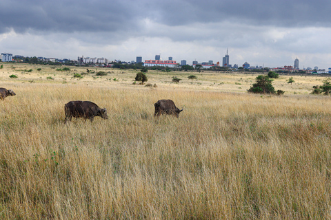 Privérondleiding door het Nairobi Nationaal Park