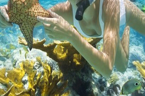 Hoi An/Da Nang: Cham Island Daily Tour with Snorkeling Pickup at hotel in Da Nang city center.