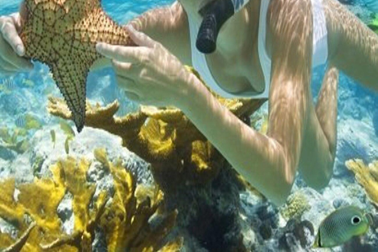 Hoi An/Da Nang: Cham Island Daily Tour with Snorkeling Pickup at hotel in Da Nang city center.