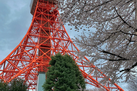 Excursión a Tokio (Lugares imprescindibles de Tokio)