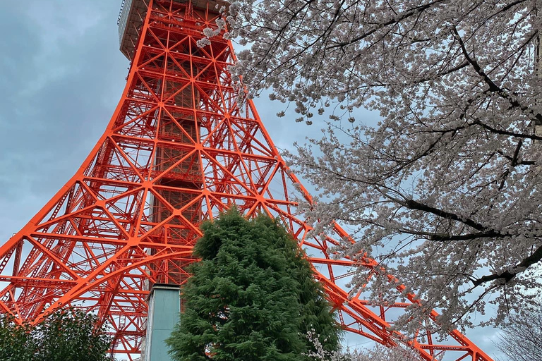 Excursión a Tokio (Lugares imprescindibles de Tokio)