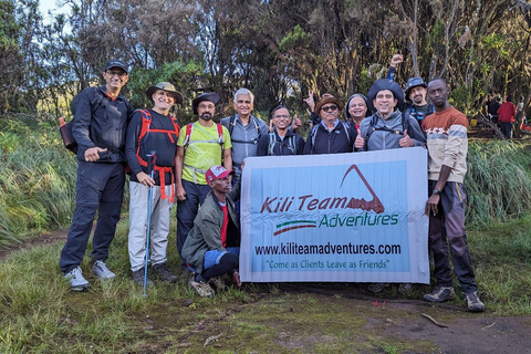 Kilimanjaro: 9 dias de caminhada na Rota do Circuito Norte