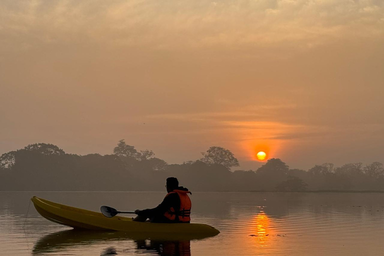 Sigiriya: Birdwatching Kayak Tour with Guide