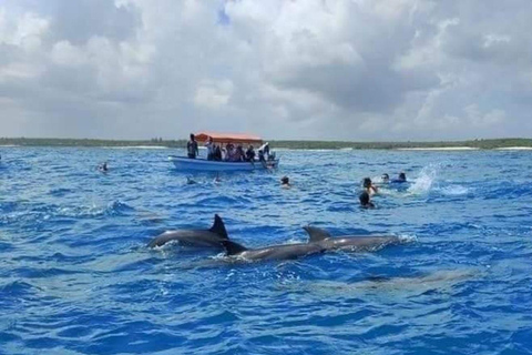 Zanzibar: Mnemba Island Dolphins &amp; Snorkeling half day tour