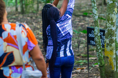 Accra: Jardim Botânico de Aburi, Fazenda de Cacau e Cachoeira ...